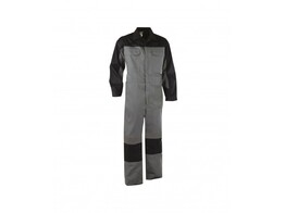 Multinorm overall DASSY  NIORT