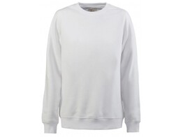 Sweater Printer Softball