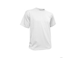 Schilder T-shirt DASSY  Oscar