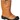 LAARS PW FW29 S3 BRUIN 38